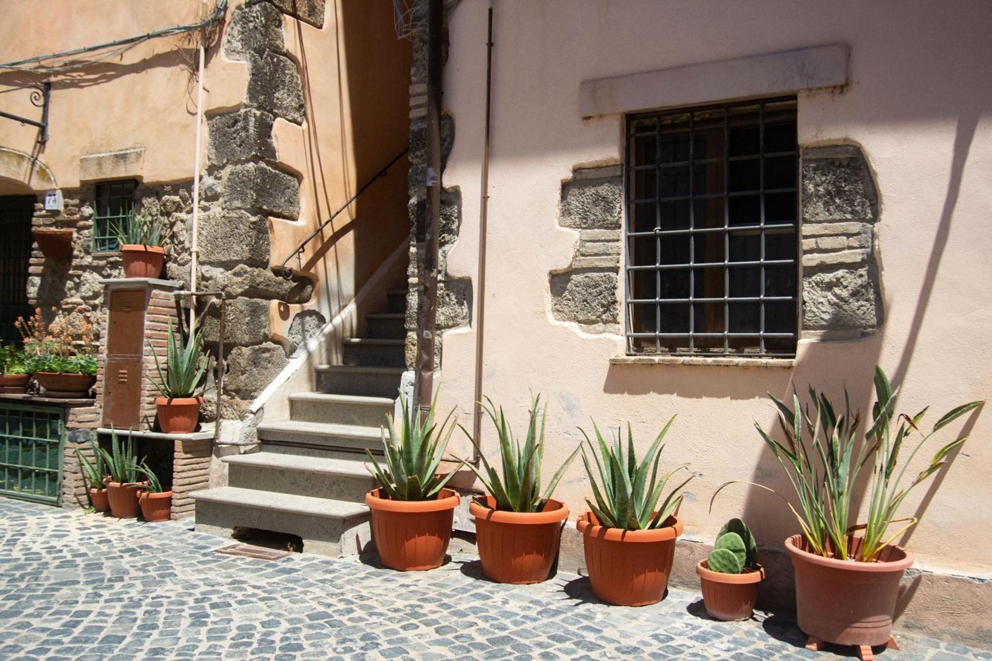 Ferienwohnung Finestra Sul Borgo Trevignano Romano Exterior foto
